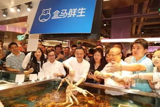 ggai 数据 大数据显示 人工智能正推动消费升级